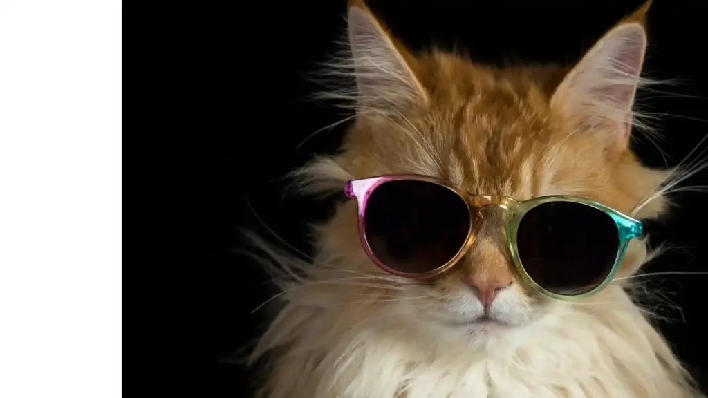 iso-27001-entspannt-umsetzen